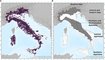 Altitudinal shifting of major forest tree species in Italian mountains under climate change